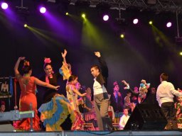 Festival de Folkore en Mula